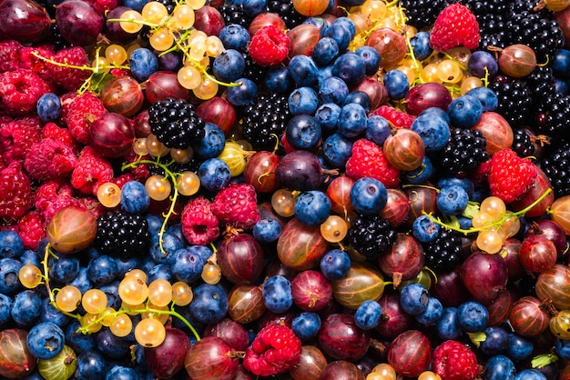 Hintergrund für Stachelbeeren, Blaubeeren, Maulbeeren, Himbeeren, weiße und rote Johannisbeeren.