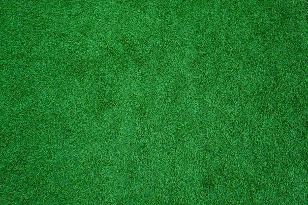 Hintergrund-Fußballplatz des grünen Grases