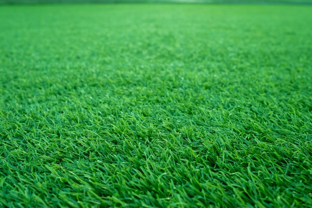 Hintergrund-Fußballplatz des grünen Grases