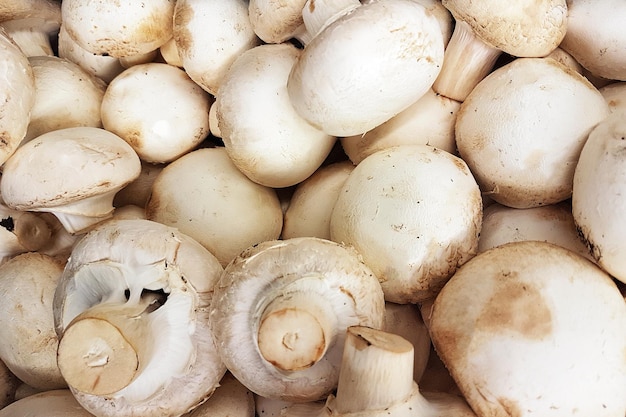 Hintergrund ganzer Champignons zum Verkauf auf dem Bauernmarkt in Nahaufnahme