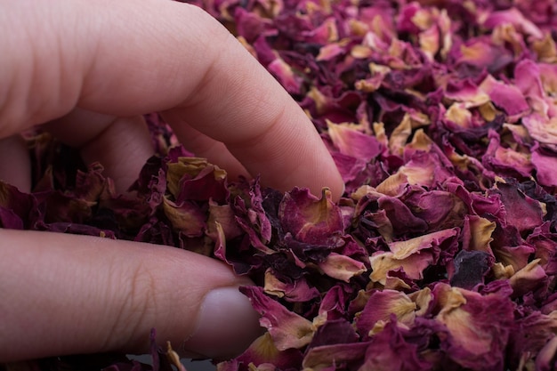 Hintergrund getrockneter Rosenblätter