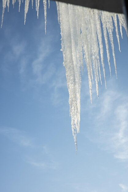 Hintergrund heller transparenter Eiszapfen im Sonnenlicht große Eiszapfen, die vom Dach auf Blau hängen