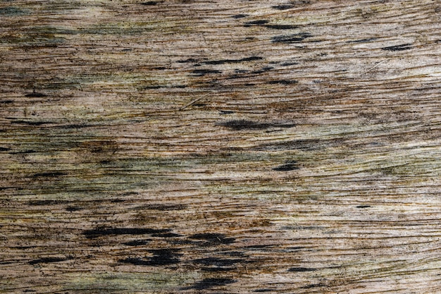 Hintergrund Holz Textur