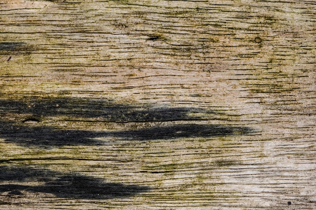 Foto hintergrund holz textur