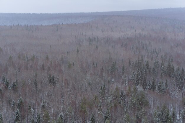 Hintergrund, Landschaft - verschneiter Winterwald, Taiga, Draufsicht