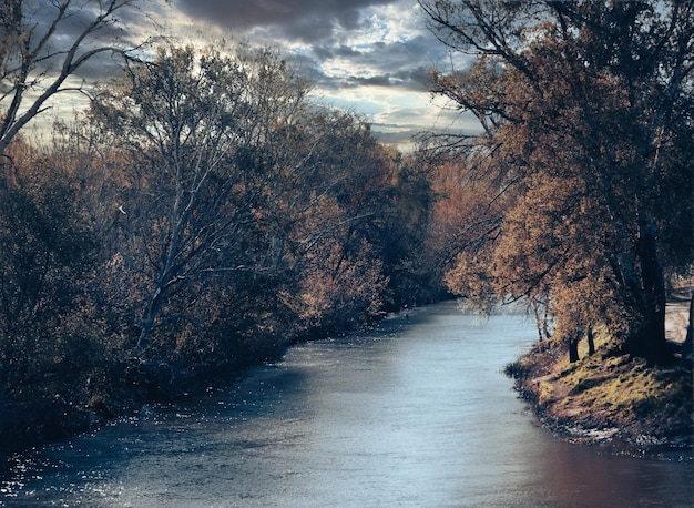 Foto hintergrund mit fluss und dunklen wolken mit bäumen herum