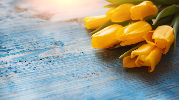 Hintergrund mit gelben Tulpen auf blau gestrichenen alten Holzbohlen