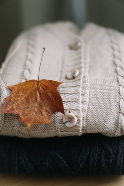 Hintergrund mit gestrickter Kleidung und Herbstlaub Herbst-Winter-Konzept