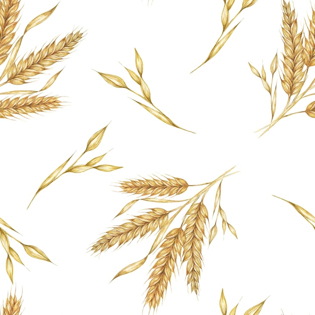 Hintergrund mit goldenen Weizen- oder Gerste-Spitzen, Aquarell, nahtloses Muster, perfekt für Textildesign, rustikale Verpackungen, ökologisch freundliche Marke