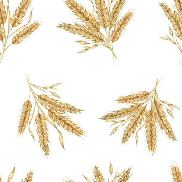 Hintergrund mit goldenen Weizen- oder Gerste-Spitzen, Aquarell, nahtloses Muster, perfekt für Textildesign, rustikale Verpackungen, ökologisch freundliche Marke
