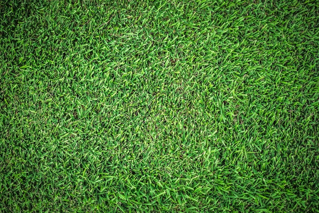 Hintergrund mit grünem Grasfeld