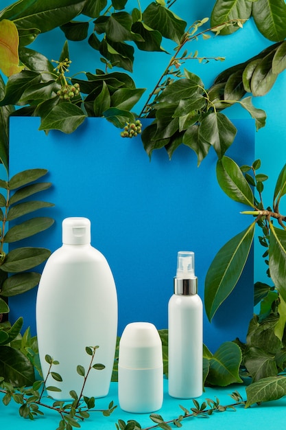 Hintergrund mit grünen Blättern und Anlagen und Flasche Kosmetik. Natürliches Scin Care Konzept