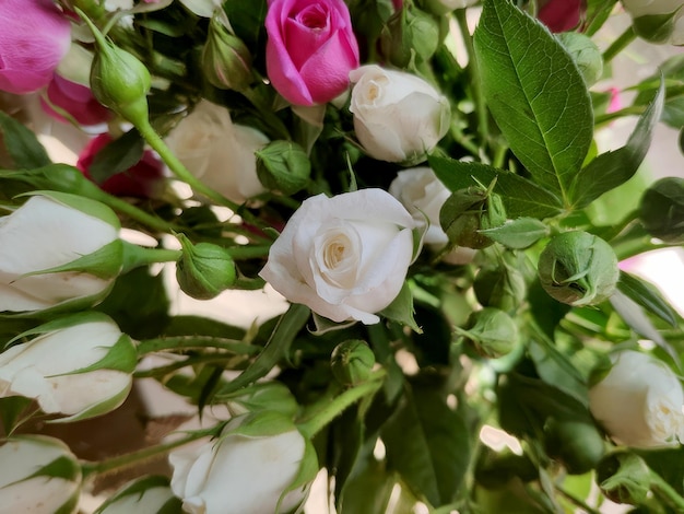 Hintergrund mit rosa und weißen Rosen