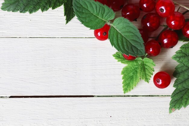 Hintergrund mit roten Johannisbeeren