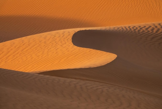 Hintergrund mit Sanddünen in der Wüste