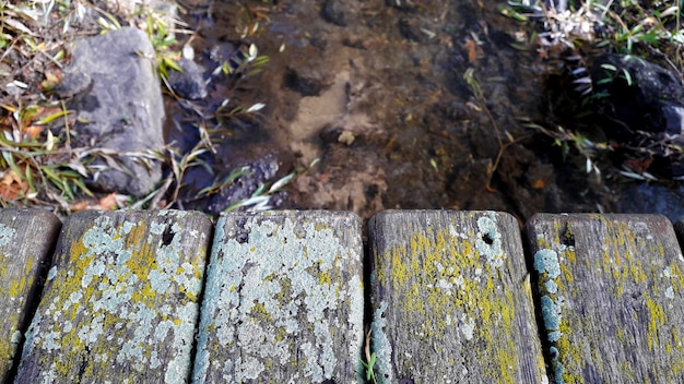 Hintergrund mit vier Holzlatten mit Moos aus nächster Nähe und einem sauberen Fluss