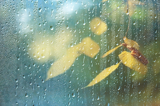 Hintergrund nasses Glas fällt Herbst im Park / Blick auf die Landschaft im Herbstpark aus einem nassen Fenster, das Konzept des Regenwetters an einem Herbsttag