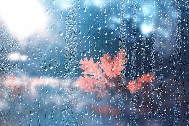 Hintergrund nasses Glas fällt Herbst im Park / Blick auf die Landschaft im Herbstpark aus einem nassen Fenster, das Konzept des Regenwetters an einem Herbsttag