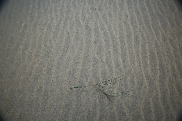 Hintergrund Sandwüste / abstrakter leerer Hintergrund, Textur Wüstensand, Wellen auf, Sanddünen