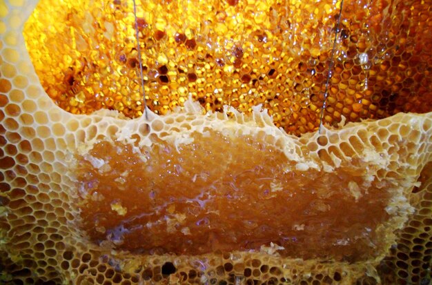 Hintergrund-Sechseck-Textur-Wachswabe aus einem Bienenstock