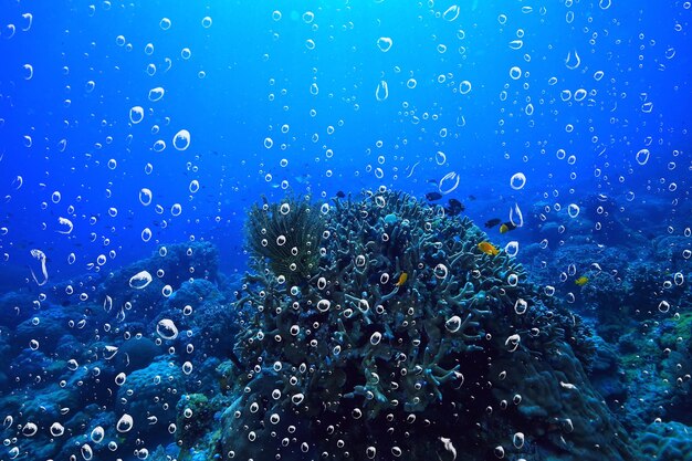 Hintergrund Unterwasserluftblasen Riff / abstrakt Meer Hintergrund, Tauchen, Natur, Ozean