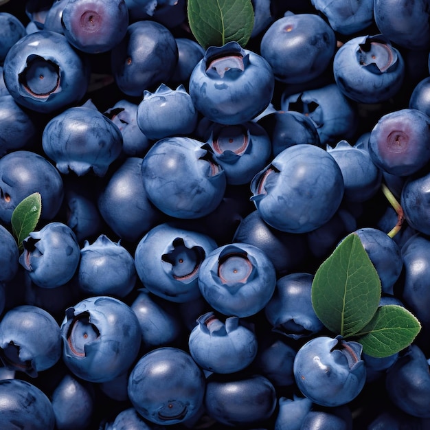 Hintergrund_von_Blaubeeren