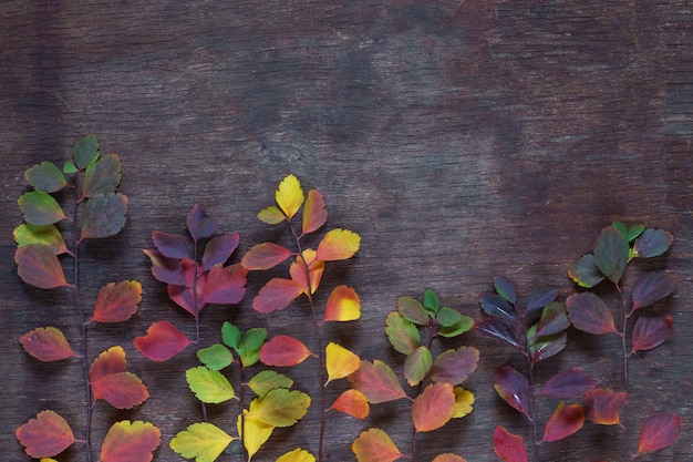 Hintergrund von bunten Herbstblättern auf einer Holzoberfläche