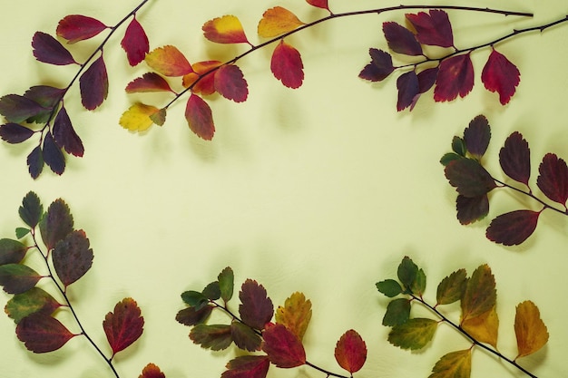 Foto hintergrund von bunten herbstblättern auf gelbem pastell