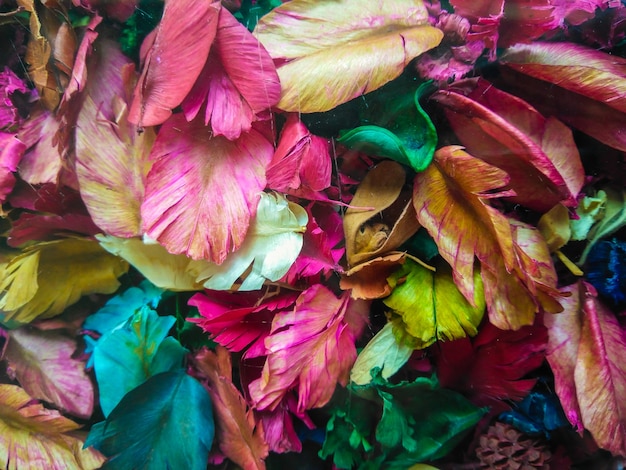 Hintergrund von bunten trockenen blumenblättern