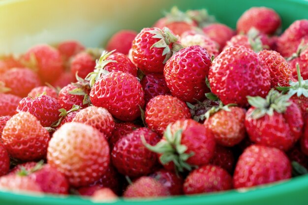 Hintergrund von frisch geernteten Erdbeeren, direkt darüber