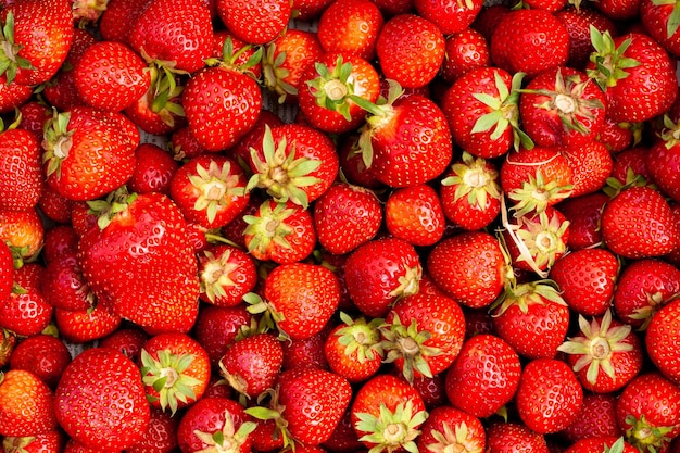 Hintergrund von frisch geernteten reifen Erdbeeren direkt oben