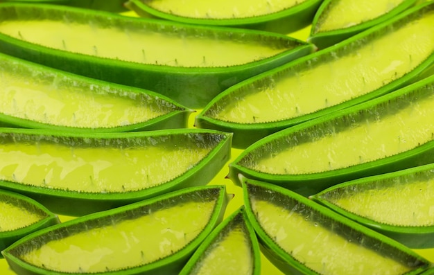 Hintergrund von frischen grünen Aloe Vera-Scheiben