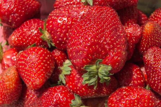 Hintergrund von frischen reifen Erdbeeren