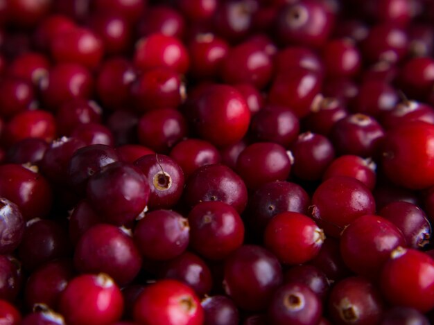 Hintergrund von reifen frischen Preiselbeeren hautnah