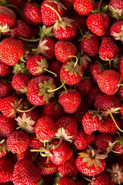 Foto hintergrund von reifen roten erdbeeren