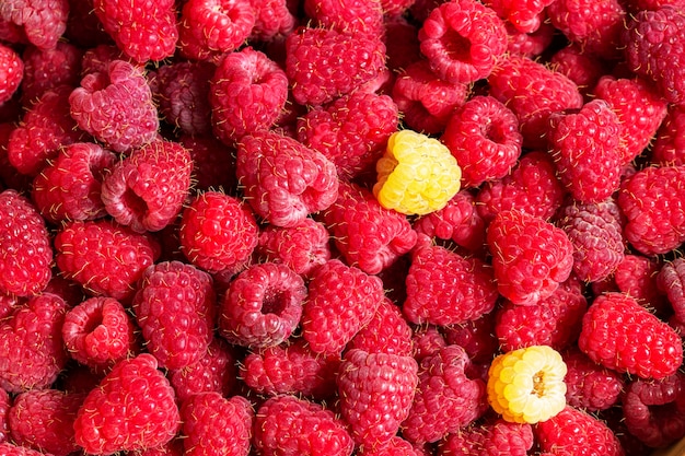 Hintergrund von reifen roten und weißen Himbeeren. Selektiver Fokus.