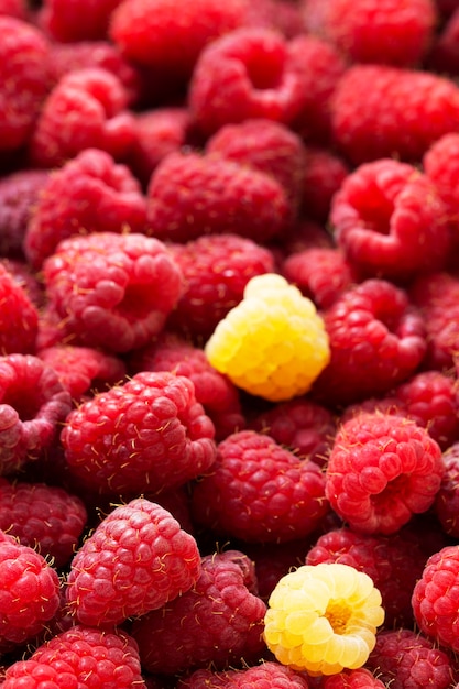 Hintergrund von reifen roten und weißen Himbeeren.