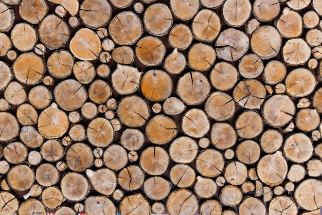 Hintergrund von runden trockenen Holzschnitten