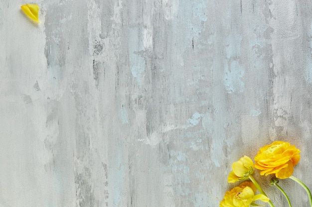 Hintergrund weiß-grau-blaue konkrete Textur mit gelben Blumen.