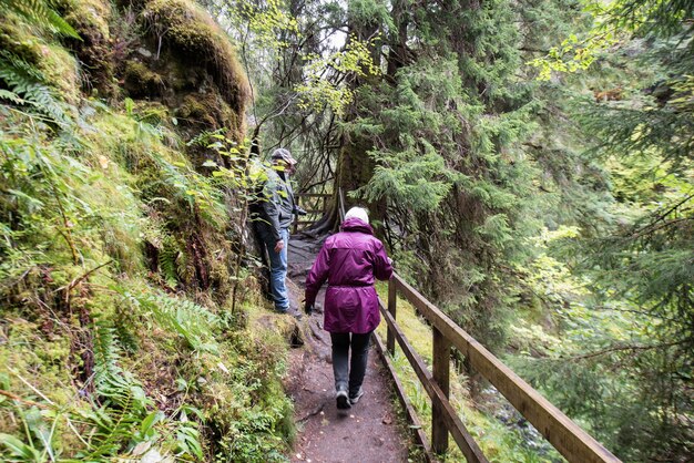 Hintergrundansicht einer älteren Frau, die inmitten von Bäumen im Wald auf einer Fußgängerbrücke läuft