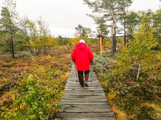 Foto hintergrundansicht einer frau, die auf einem fußweg inmitten von bäumen im moor-biosphärenreservat der rhône in deutschland spazieren geht