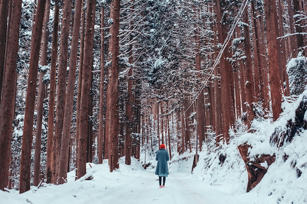 Hintergrundansicht einer Frau, die auf einem mit Schnee bedeckten Feld im Wald spazieren geht