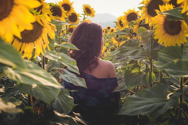 Hintergrundansicht einer Frau, die auf einem Sonnenblumenfeld sitzt