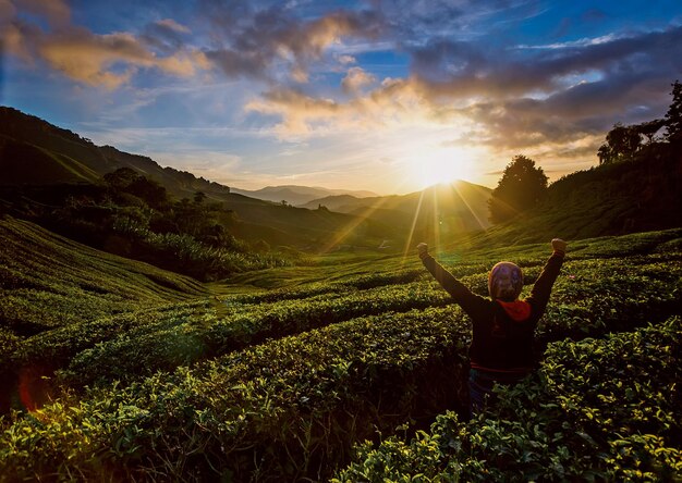 Hintergrundansicht einer Frau, die während des Sonnenuntergangs auf einem landwirtschaftlichen Feld gegen den Himmel Erfolg feiert