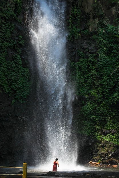 Hintergrundansicht einer Frau gegen einen Wasserfall im Wald