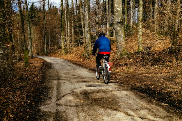 Hintergrundansicht einer Person, die im Wald auf der Straße geht