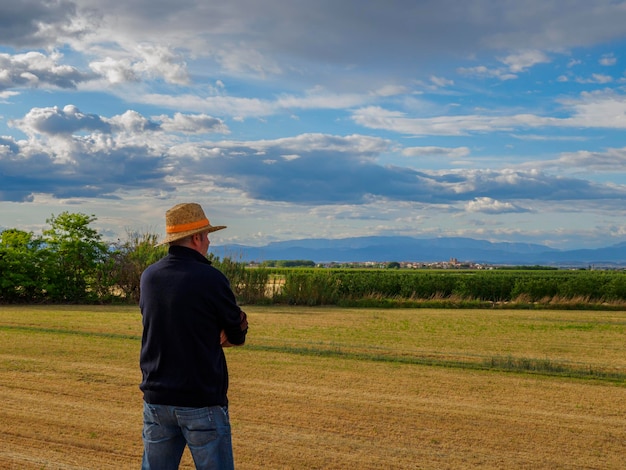 Hintergrundansicht eines erwachsenen Mannes Bauern steht allein und schaut auf Sonnenuntergang oder Sonnenaufgang am Himmel Mann steht auf dem Weizenfeld Reife Erntezeit Sonne scheint am Himmel