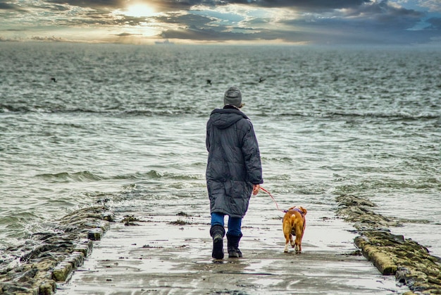 Hintergrundansicht eines Hundes am Strand