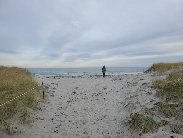 Hintergrundansicht eines Jungen, der am Strand steht