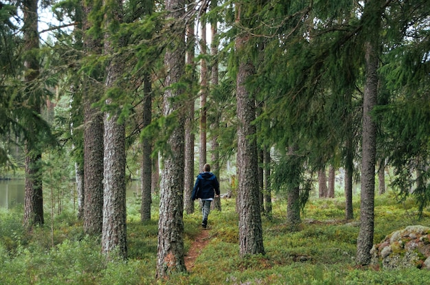 Hintergrundansicht eines Jungen, der im Wald spazieren geht